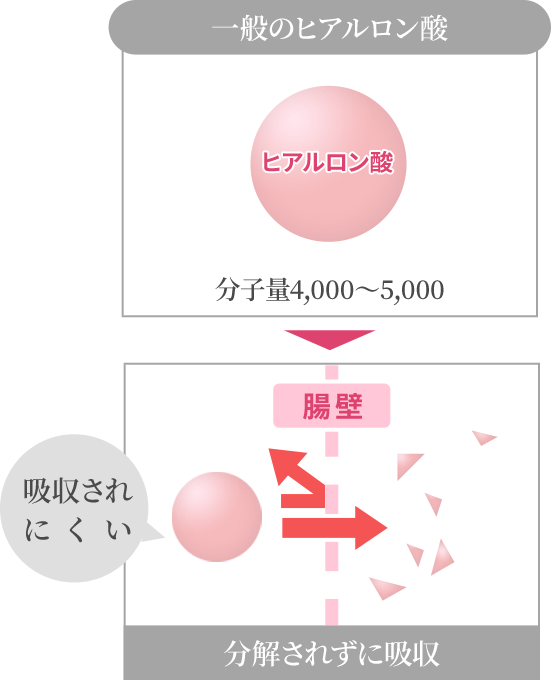 一般のヒアルロン酸は分子量が多く吸収されにくい